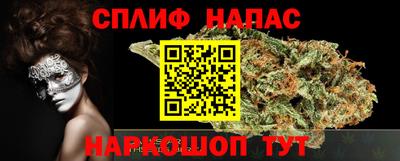 крисы Кунгур