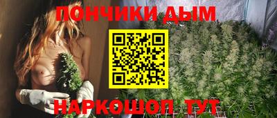 крисы Кунгур