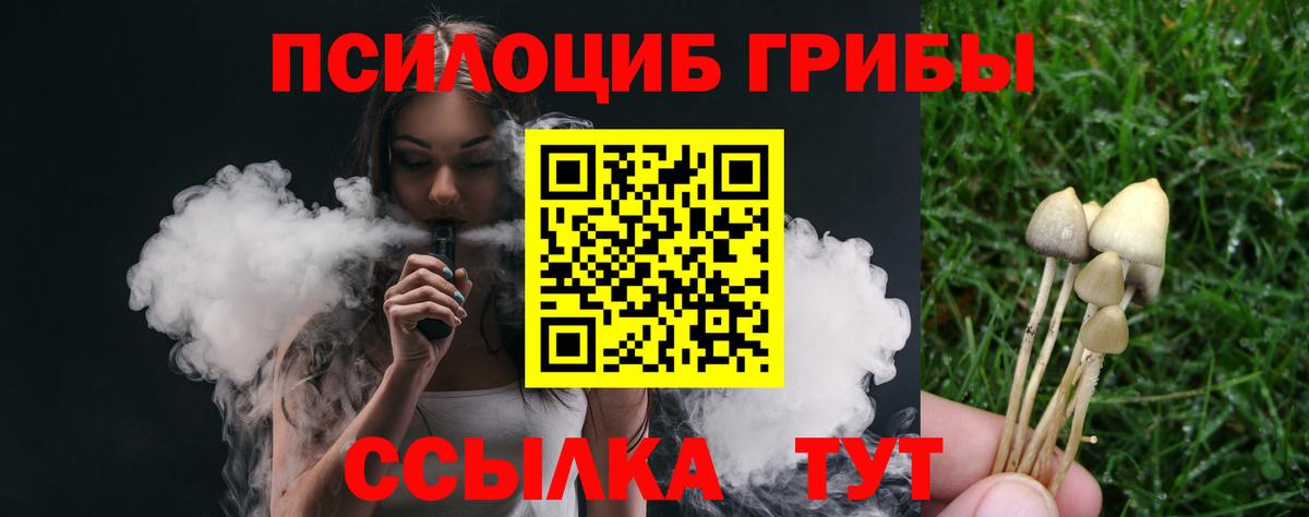 Псилоцибиновые грибы Cubensis  Вход с VPN  Карпинск 
