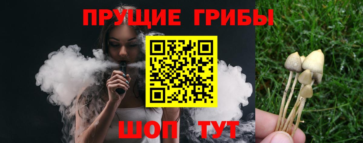 Псилоцибиновые грибы Cubensis Карпинск